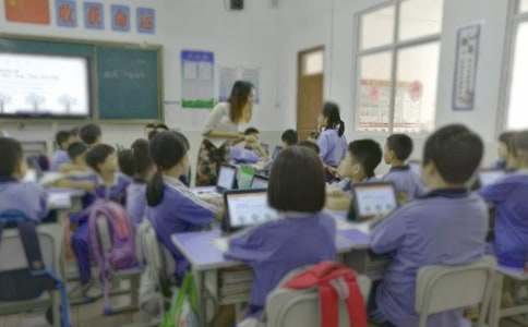 高二政治个人教学计划