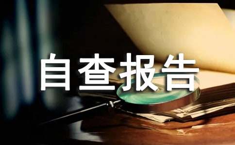 督导评估工作自查报告